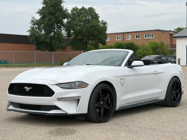2020 FORD MUSTANG ECOBOOST | Low Kms Convertible for sale in Winnipeg, Manitoba
